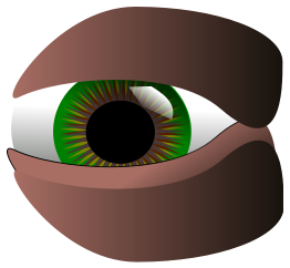 Eye