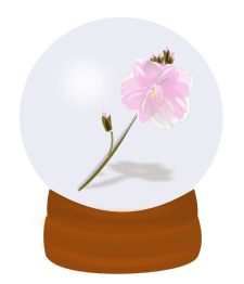 Flower Globe